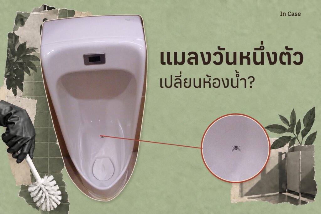 สนามบินที่ลดความเลอะเทอะของห้องน้ำชายด้วยแมลงวันตัวเดียว